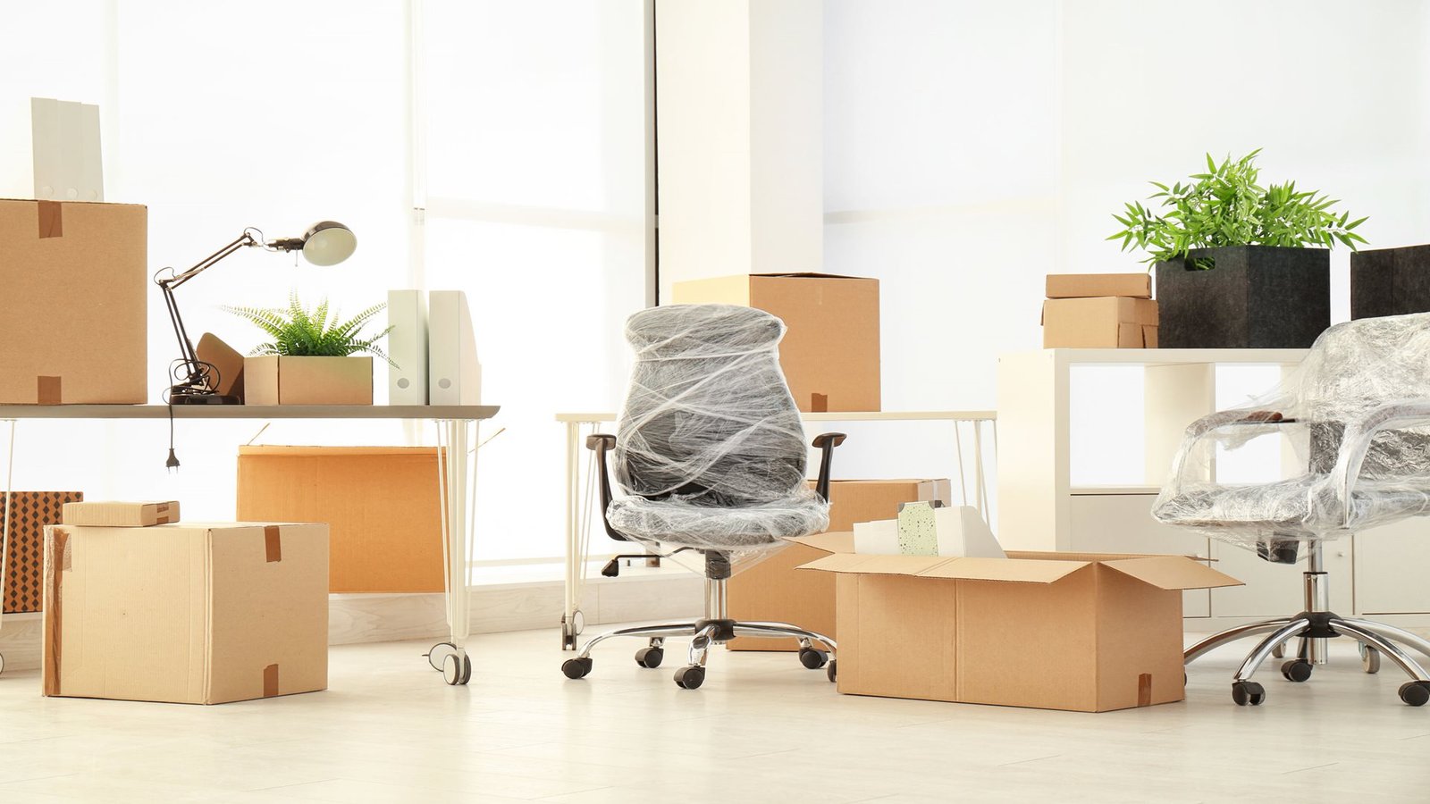 Small Office Relocation